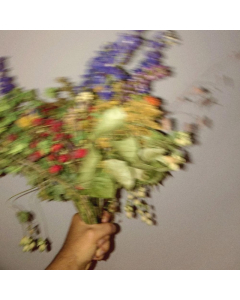 Hans Philip: For Evigt (Vinyl / LP)